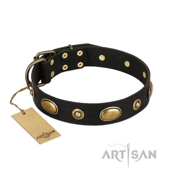 Fashionable leather collar for your doggie
