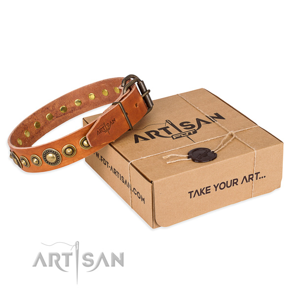 Top notch full grain leather dog collar handcrafted for daily walking