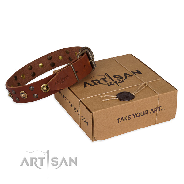 Rust resistant buckle on full grain leather collar for your attractive canine