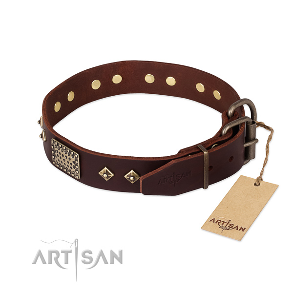 Full grain natural leather dog collar with strong hardware and decorations