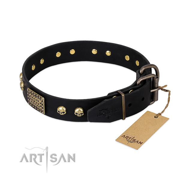 Durable hardware on daily use dog collar