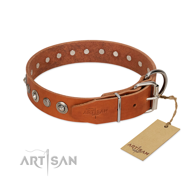 Best quality full grain natural leather dog collar with significant adornments