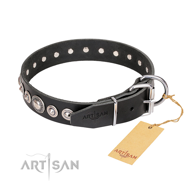 Best quality studded dog collar of leather