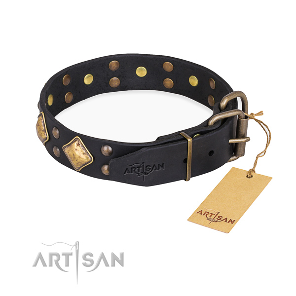 Genuine leather dog collar with impressive reliable embellishments