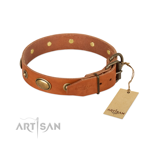 Rust resistant buckle on full grain natural leather dog collar for your dog