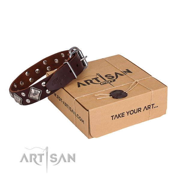 Easy wearing dog collar with Unusual rust resistant adornments