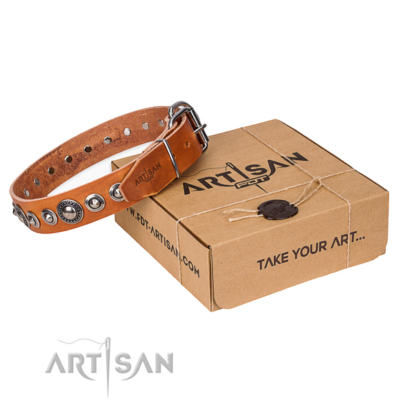 Full grain leather dog collar made of quality material with strong fittings