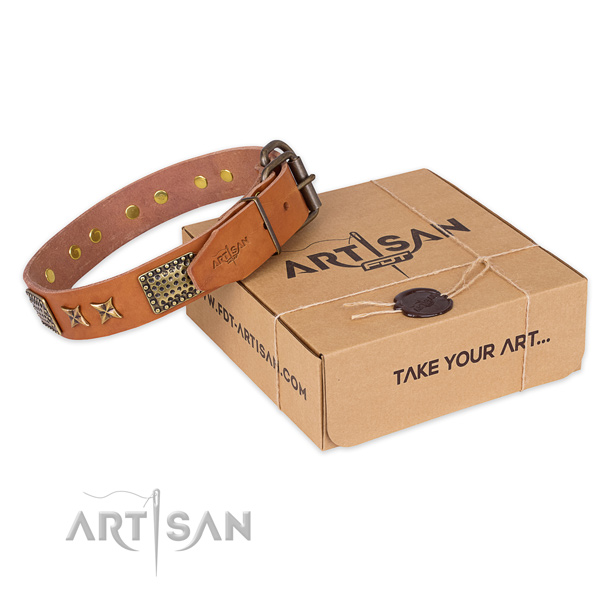 Corrosion proof traditional buckle on full grain natural leather collar for your beautiful pet