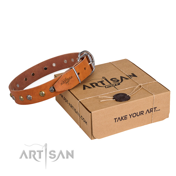 Everyday use dog collar with Designer rust-proof adornments