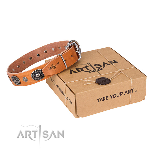 Reliable full grain leather dog collar made for fancy walking