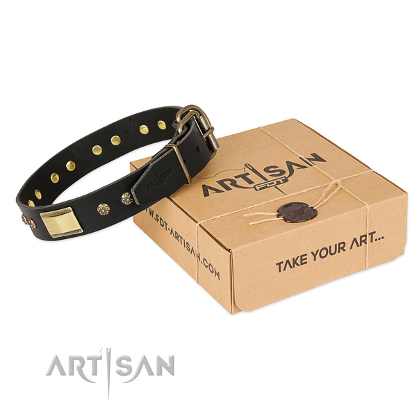 Incredible leather collar for your lovely four-legged friend