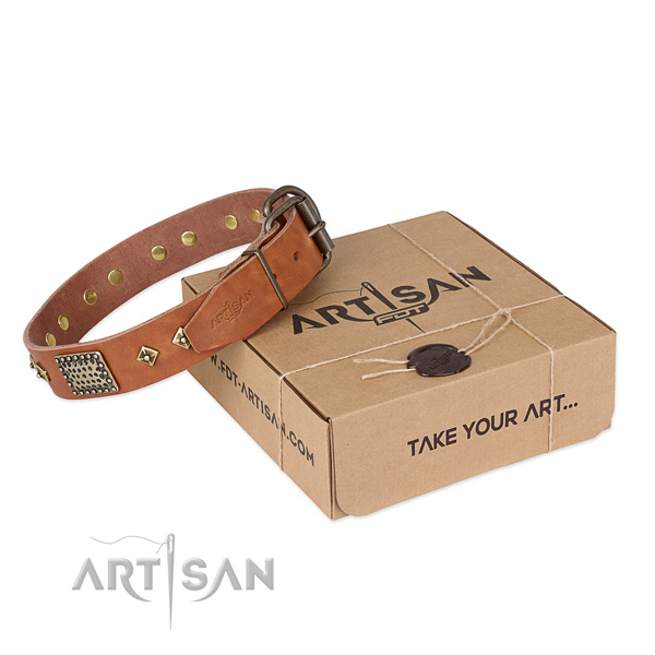 Remarkable full grain natural leather collar for your beautiful pet