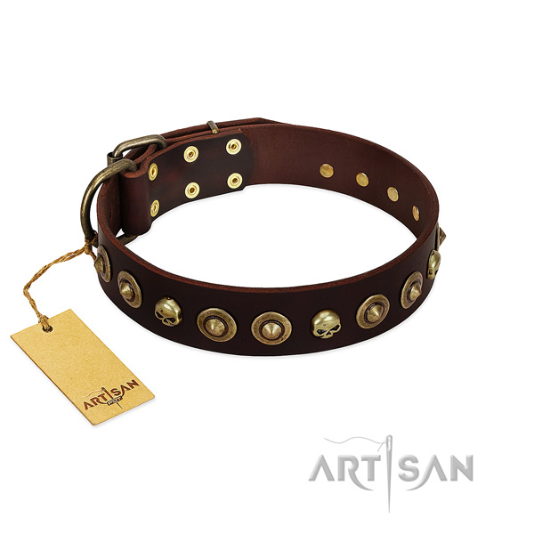 Full grain natural leather collar with significant adornments for your dog