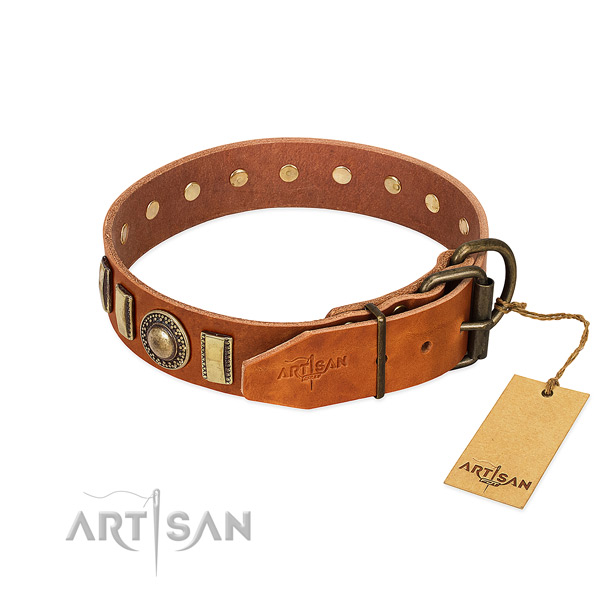 Studded full grain genuine leather dog collar with durable D-ring