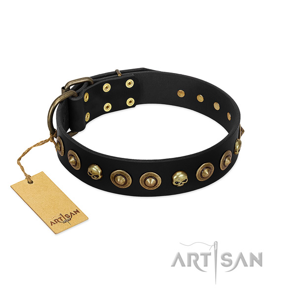 Full grain genuine leather collar with unique embellishments for your doggie