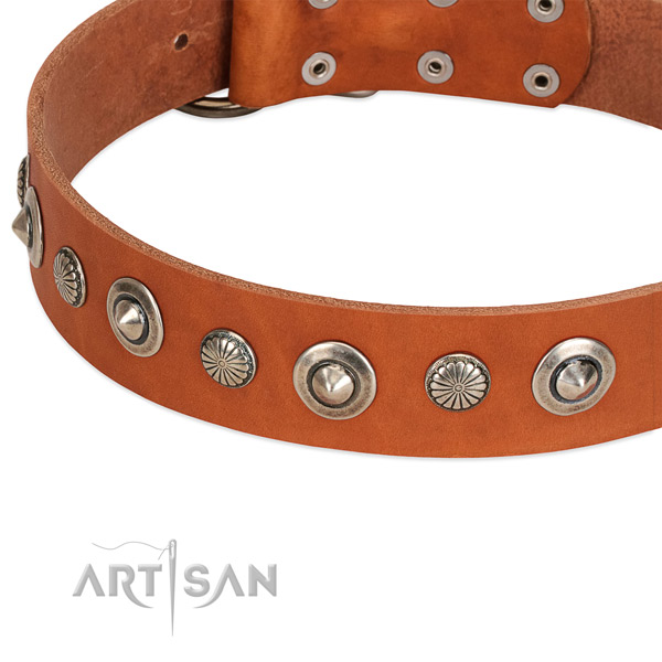 Amazing embellished dog collar of strong natural leather