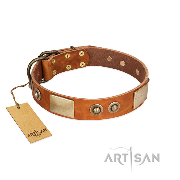 Adjustable full grain genuine leather dog collar for daily walking your canine