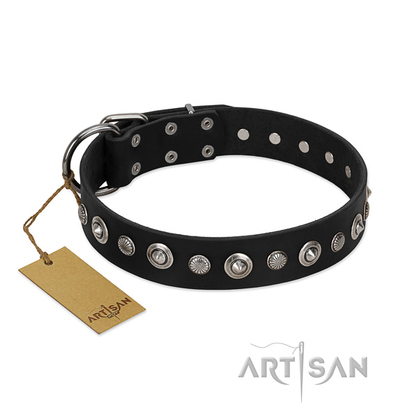 Reliable full grain leather dog collar with designer studs