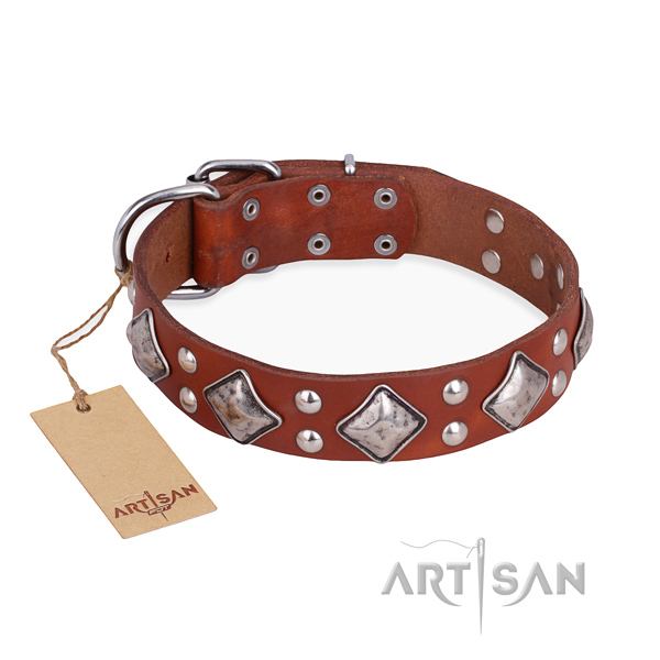 Everyday walking inimitable dog collar with rust resistant hardware