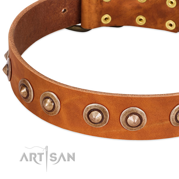 Corrosion resistant adornments on genuine leather dog collar for your dog