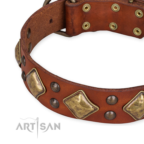 Full grain leather collar with rust resistant traditional buckle for your lovely doggie