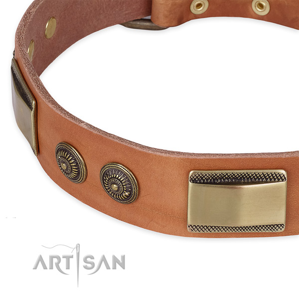Durable embellishments on natural genuine leather dog collar for your dog