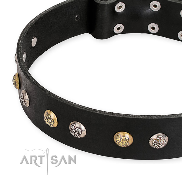 Leather dog collar with incredible corrosion proof adornments