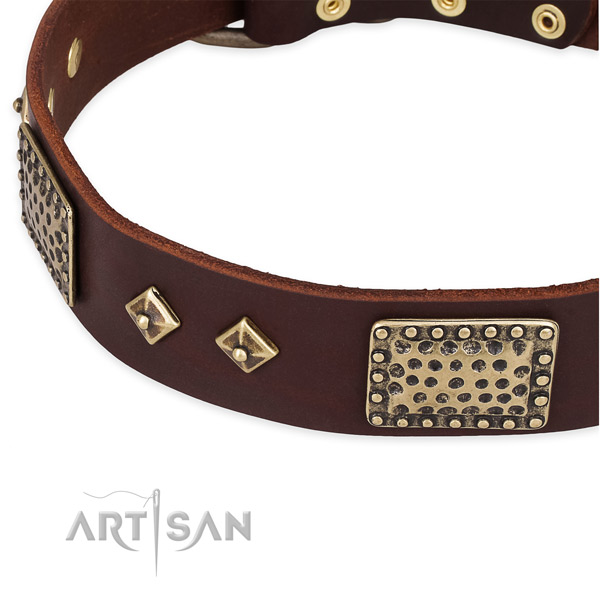 Durable hardware on leather dog collar for your pet