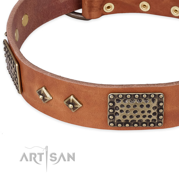 Strong traditional buckle on full grain leather dog collar for your doggie