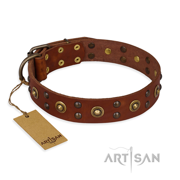 Exquisite leather dog collar with corrosion resistant fittings