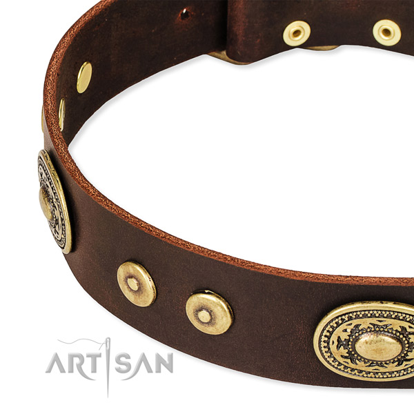 Embellished dog collar made of top notch full grain genuine leather