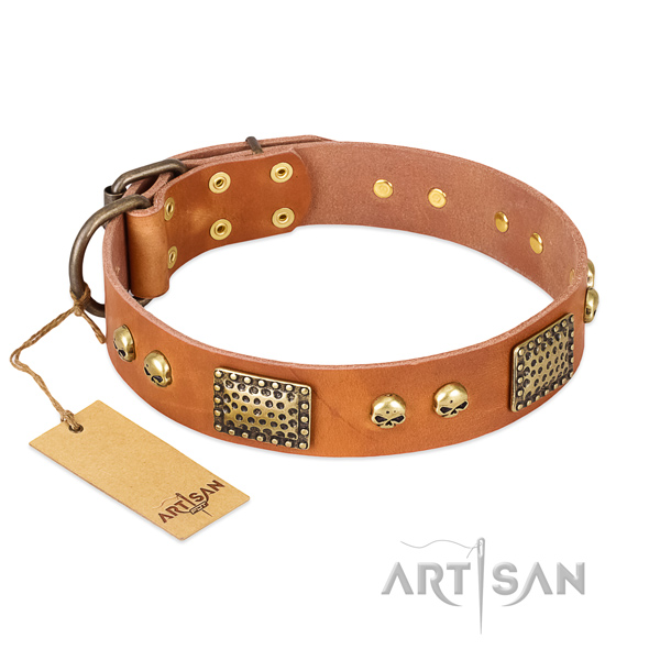 Easy adjustable full grain leather dog collar for stylish walking your four-legged friend