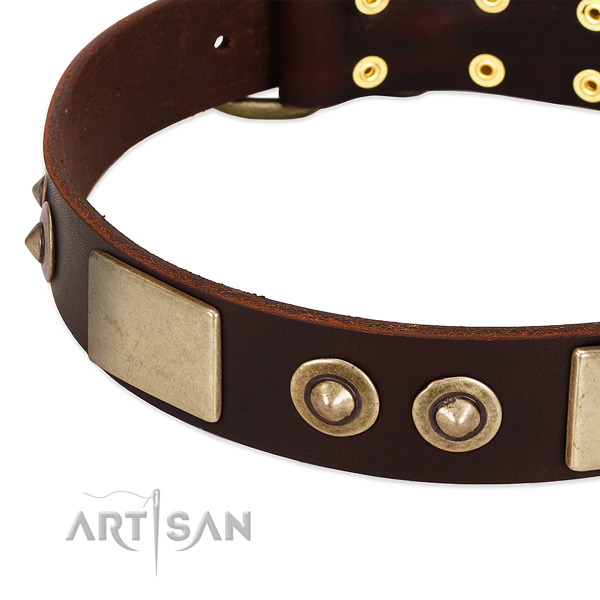 Durable studs on full grain natural leather dog collar for your doggie