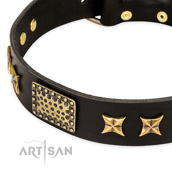 Full grain genuine leather collar with strong D-ring for your lovely canine