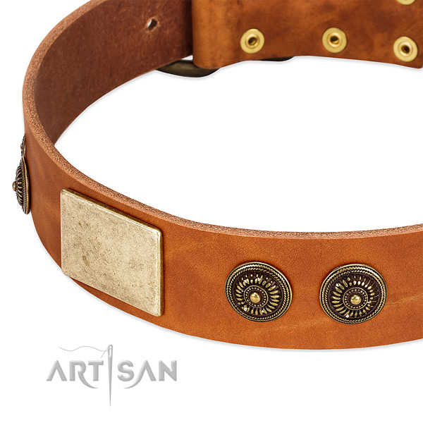 Top notch dog collar made for your handsome canine