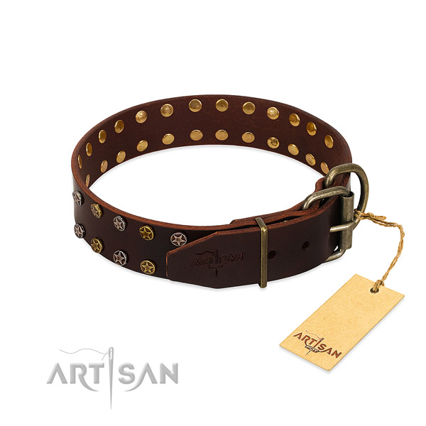 Walking genuine leather dog collar with unusual embellishments