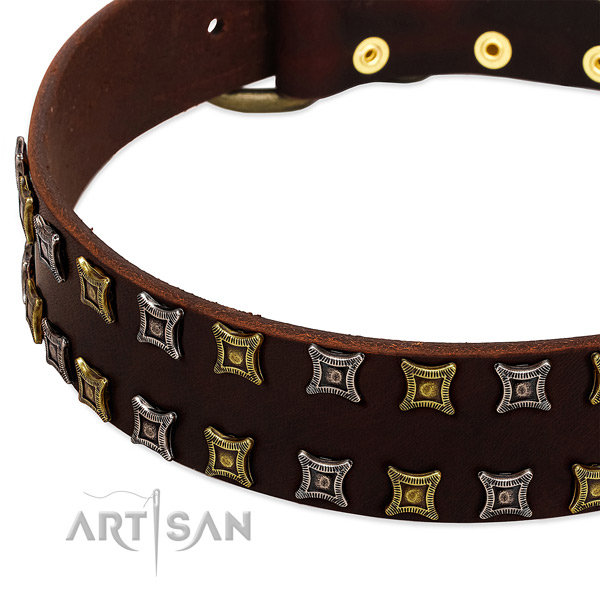 Quality natural leather dog collar for your stylish doggie