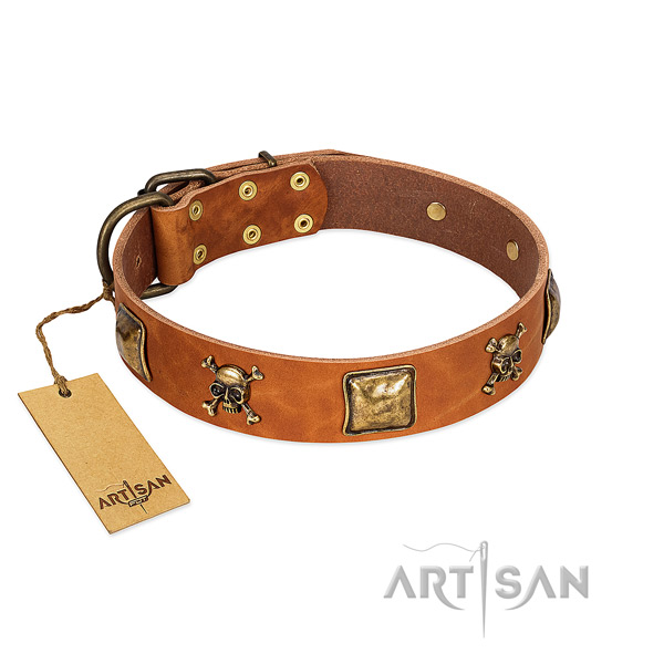 Exquisite genuine leather dog collar with rust-proof adornments
