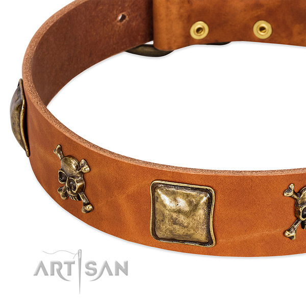 Incredible full grain leather dog collar with rust-proof adornments
