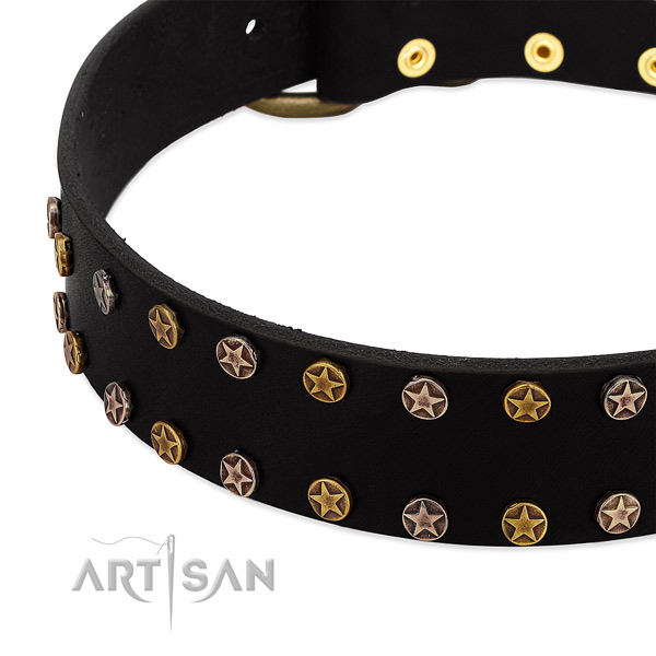 Significant embellishments on genuine leather collar for your canine