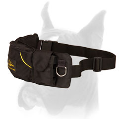 Nylon Dog Pouch for Boxer Training