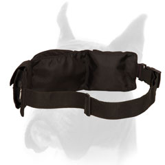 Dog Training Nylon Pouch with Adjustable Waist Strap