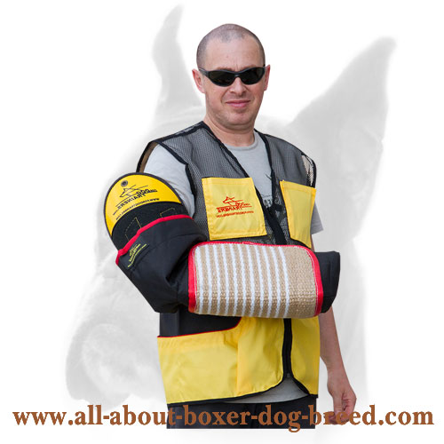 Strong Training Boxer Sleeve for Growing Puppies