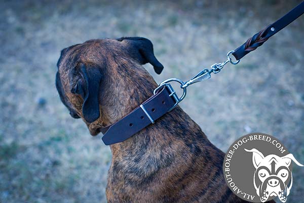 Leather Boxer Collar with Strong Buckle