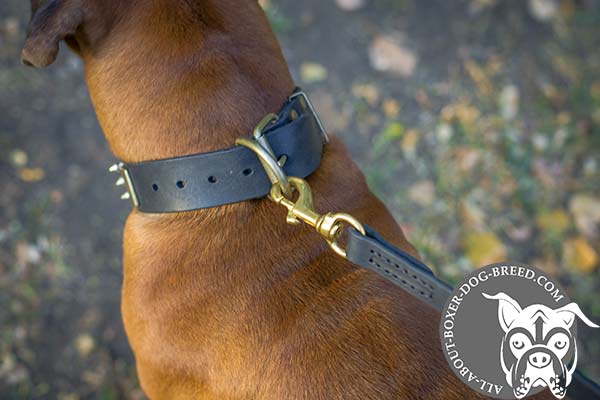 Wide Leather Boxer Collar with Steel Buckle