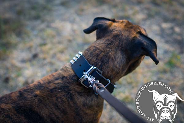 Leather Boxer Collar with Reliable Hardware