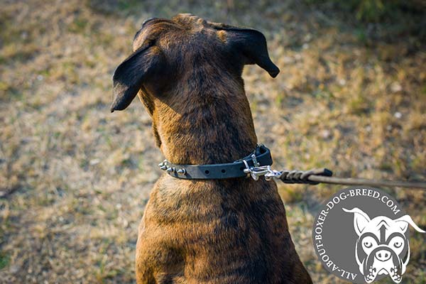 Leather Boxer Collar with Nickel Plated Hardware