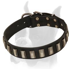 Collar with Strong Nickel plated buckle