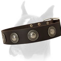 Wide Solid Leather Buckle Collar with Silver Plated Ornamented Plates