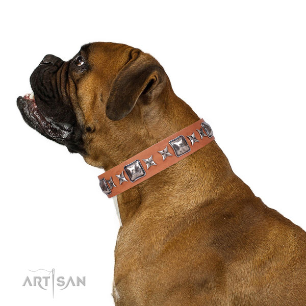 Daily use embellished dog collar of top quality material